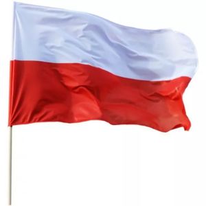 Obraz przedstawia flagę Polski
