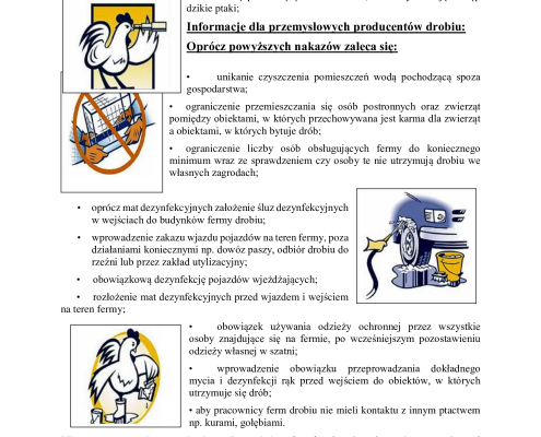 Wysoce zjadliwa grypa ptaków - zalecenia